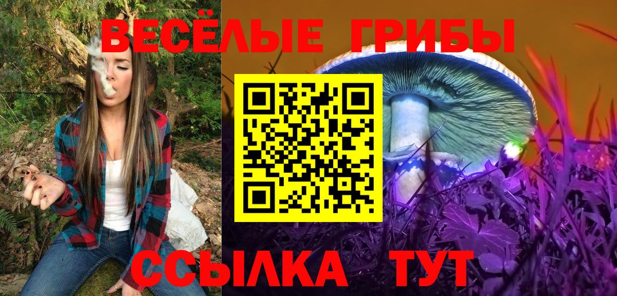 Псилоцибиновые грибы GOLDEN TEACHER  Вход с VPN  Псилоцибиновые грибы Magic Shrooms  Приморско-Ахтарск 