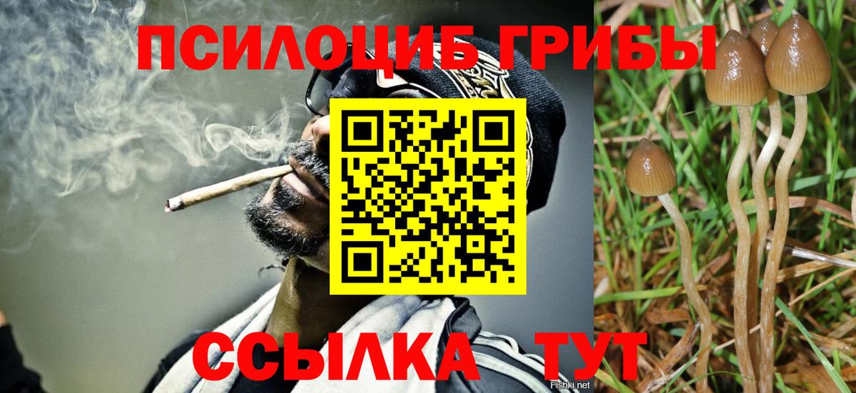 Галлюциногенные грибы мухоморы Приморско-Ахтарск