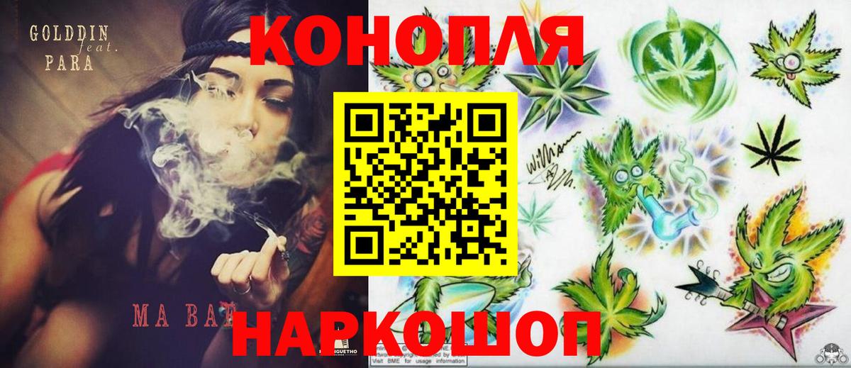 Марихуана сатива Приморско-Ахтарск